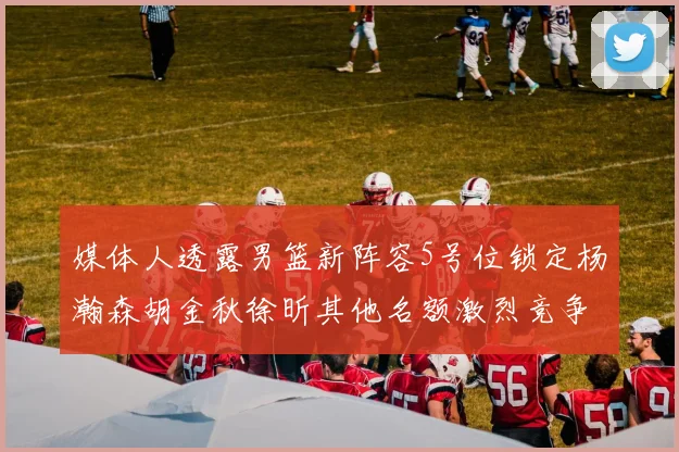 媒体人透露男篮新阵容5号位锁定杨瀚森胡金秋徐昕其他名额激烈竞争